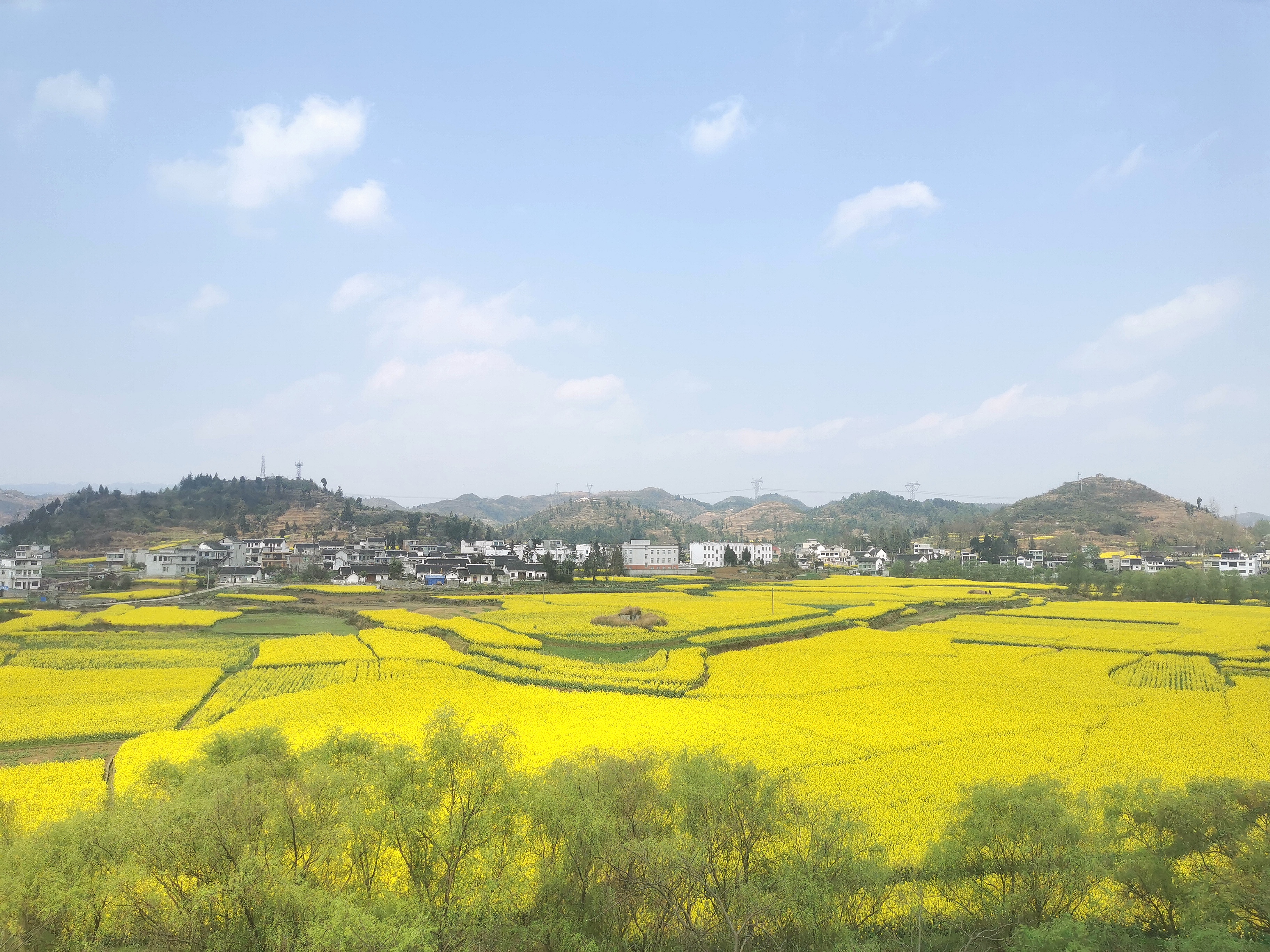 「和美乡村百村行」黔西市解放村"柳岸水乡"唱响粮田"美丽经济"