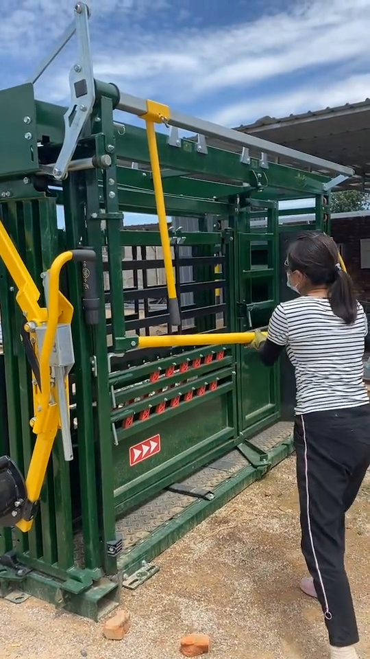 牛保定架的安全使用和防范措施