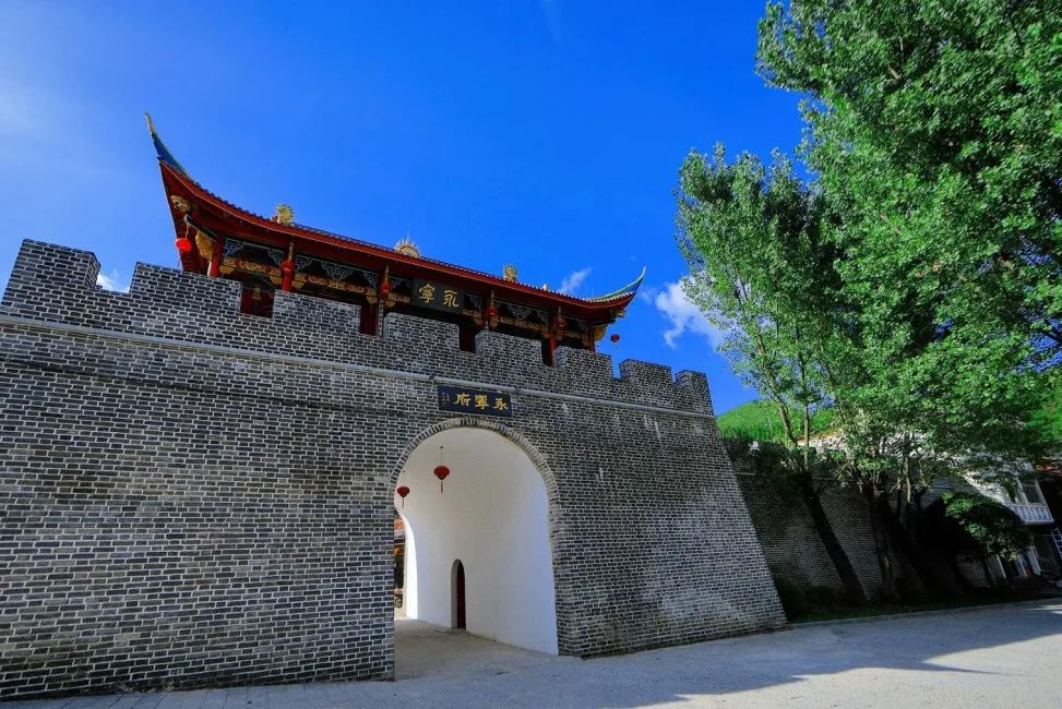 在关岭县 中心村的古榕树下,遇见悠悠岁月