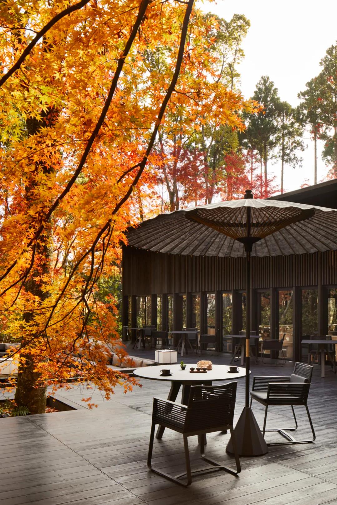 酒店设计│日本京都阿曼:拥有城市艺术精神的非凡环境