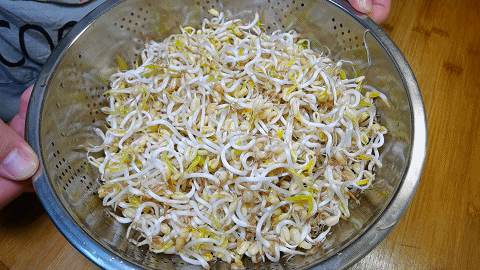 准备适量的绿豆芽,淘洗干净后控干水分,绿豆芽最好选择这种比较短一些