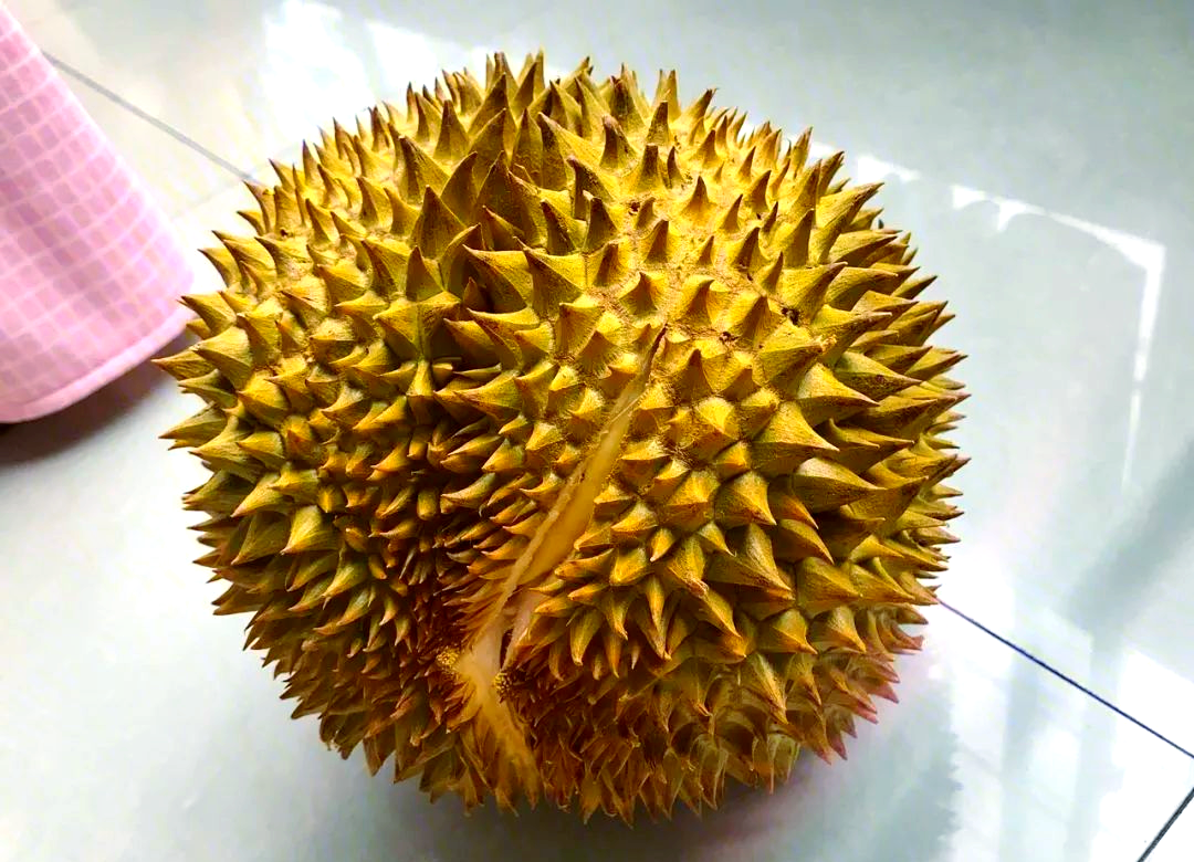 如何判断榴莲是否成熟?掌握这些技巧,轻松挑选美味榴莲