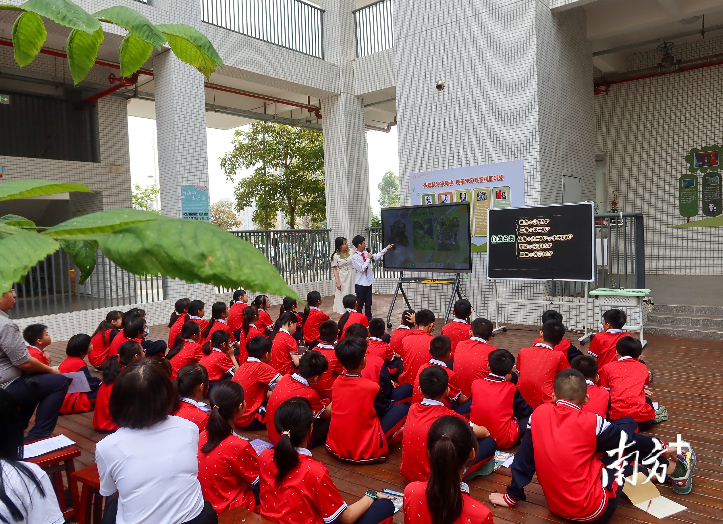 肇庆鼎湖新区中心小学图片