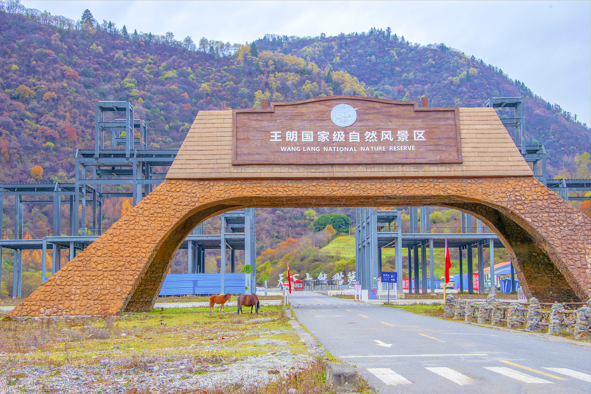 白马王朗:川西北深山的秘境,原始生态的壮美画廊!