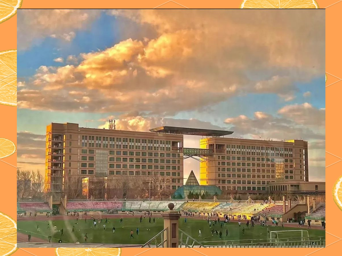 黑龙江科技大学校园生活全方位解读:从新生导览到学院精神