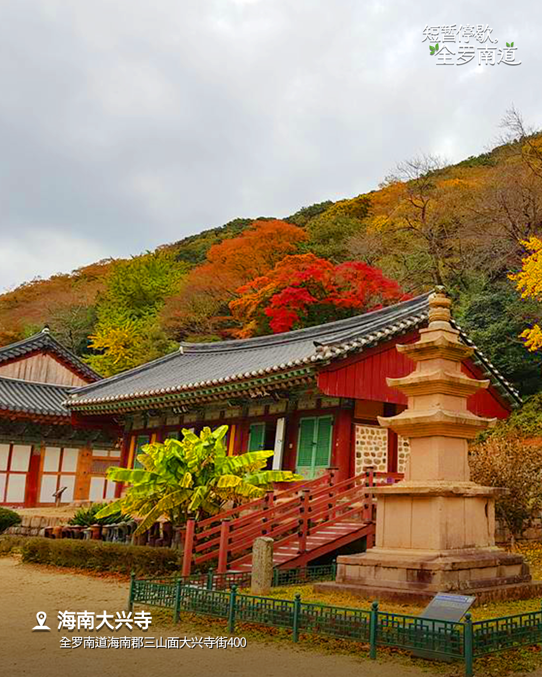 欣赏枫叶到深秋的 海南大兴寺