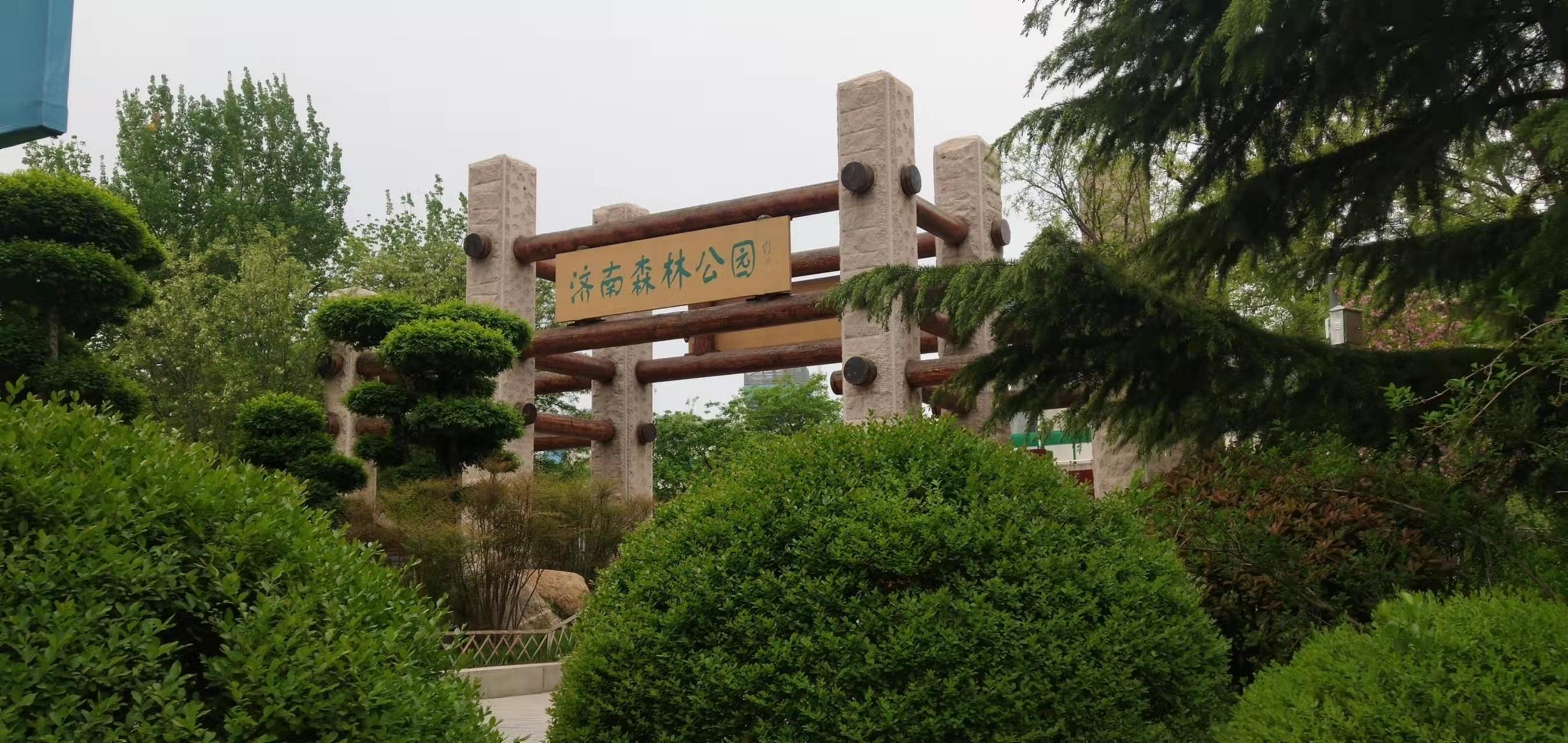 怀念济南森林公园往日热闹的样子