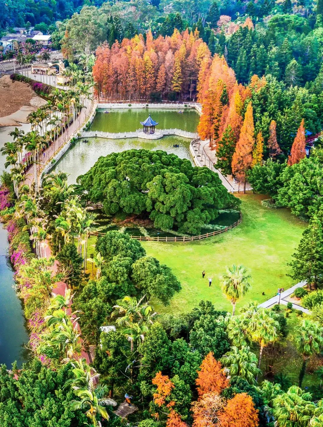 福州:"千园之城"舒展幸福画卷