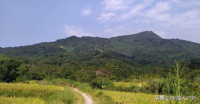 原始热带雨林,海南屯昌南吕岭探险旅游区攻略