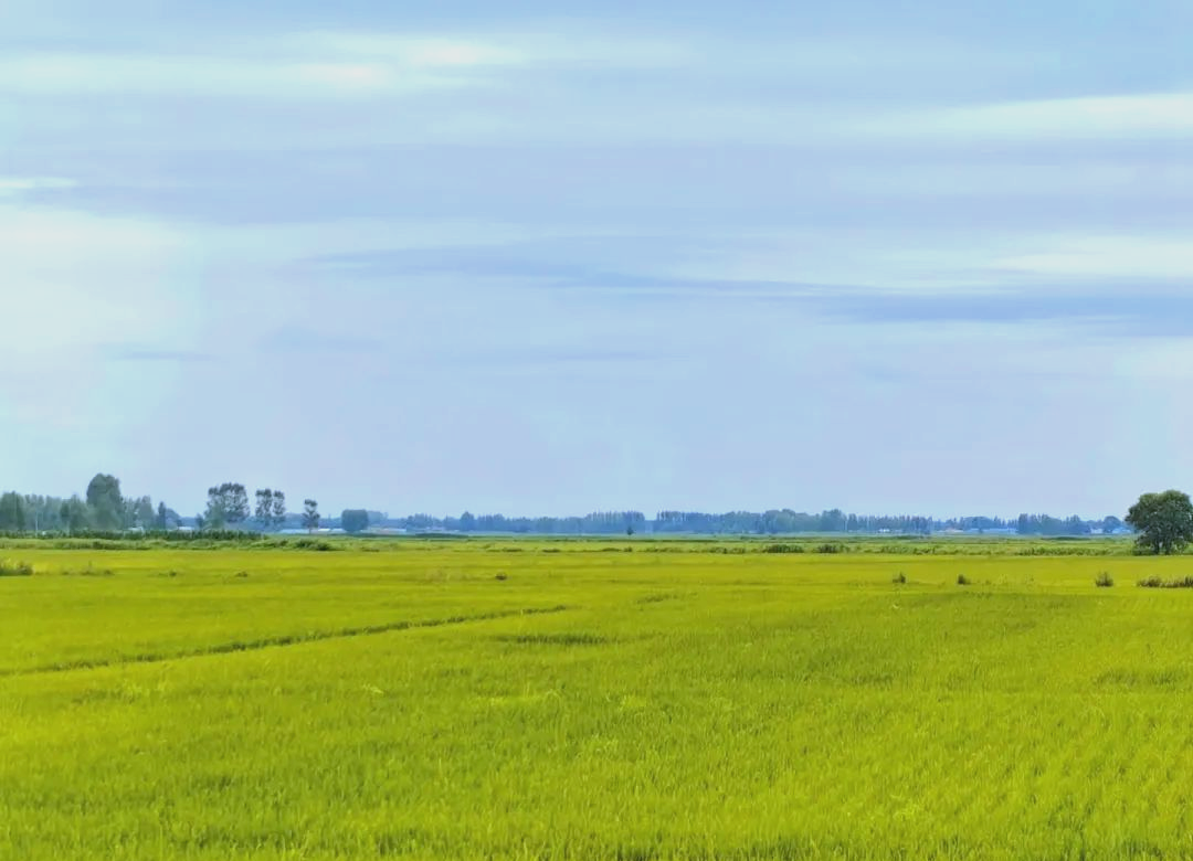 东北平原:中国最大的平原,自然资源丰富