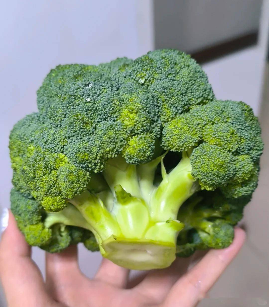 西贝预制菜争议揭底24个月保质期西兰花科技究竟如何改造你的餐桌?