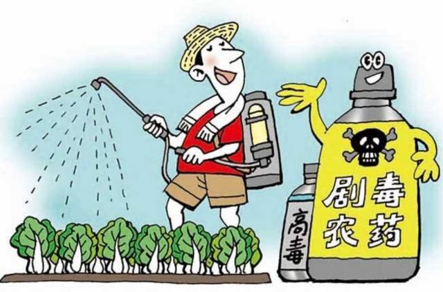 宁波32岁宝妈赌气喝下30毫升剧毒农药,她后悔了