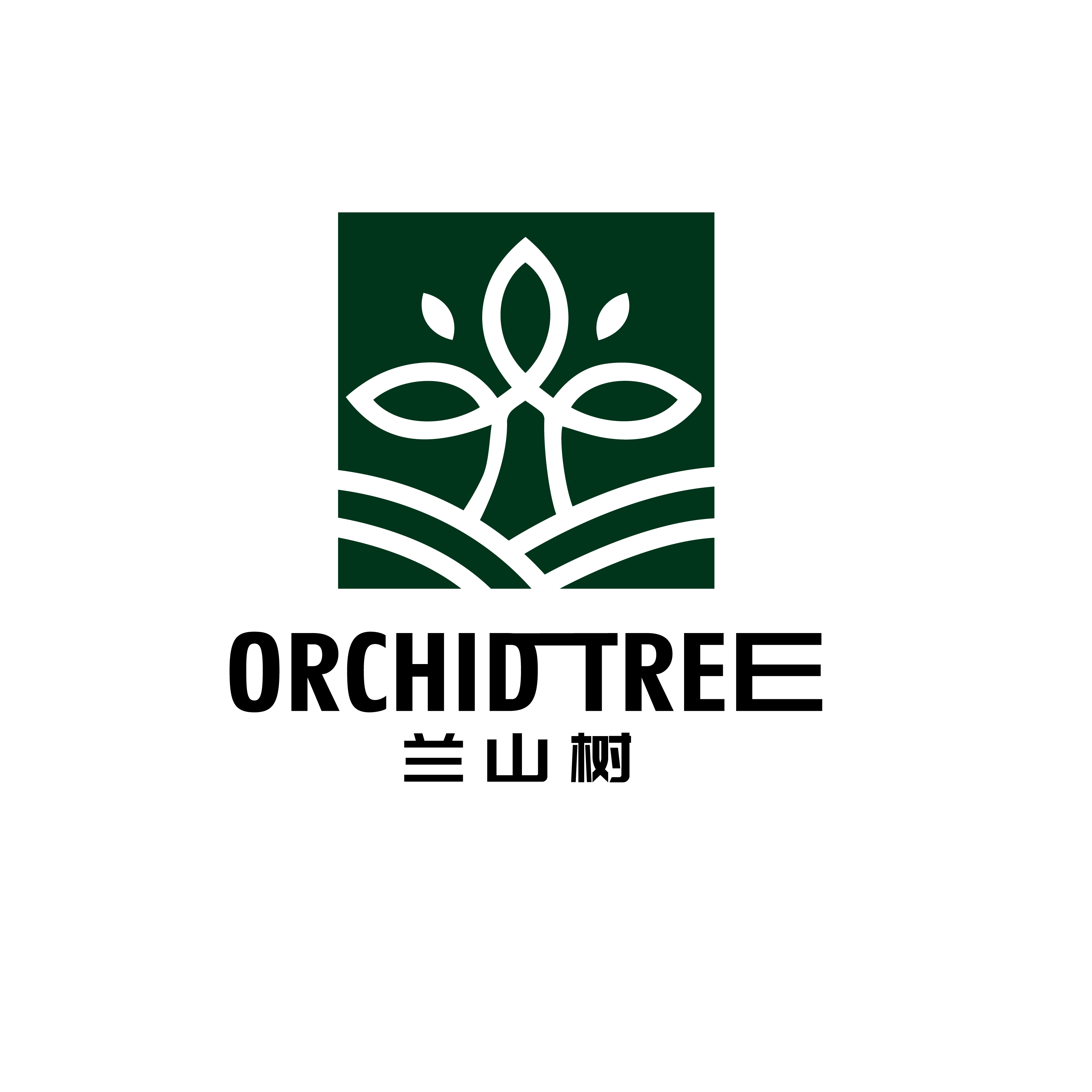 兰山树生态板