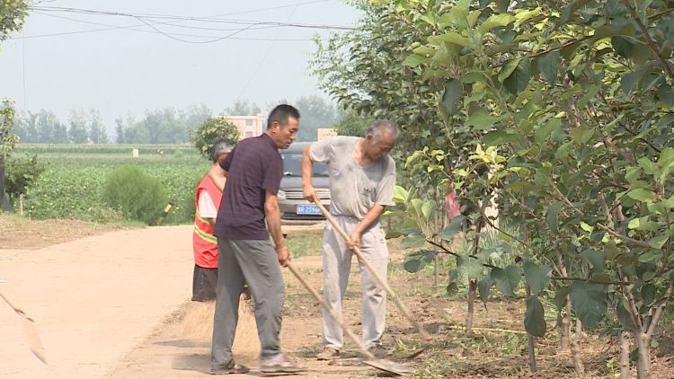 成武县大田集镇新农村图片