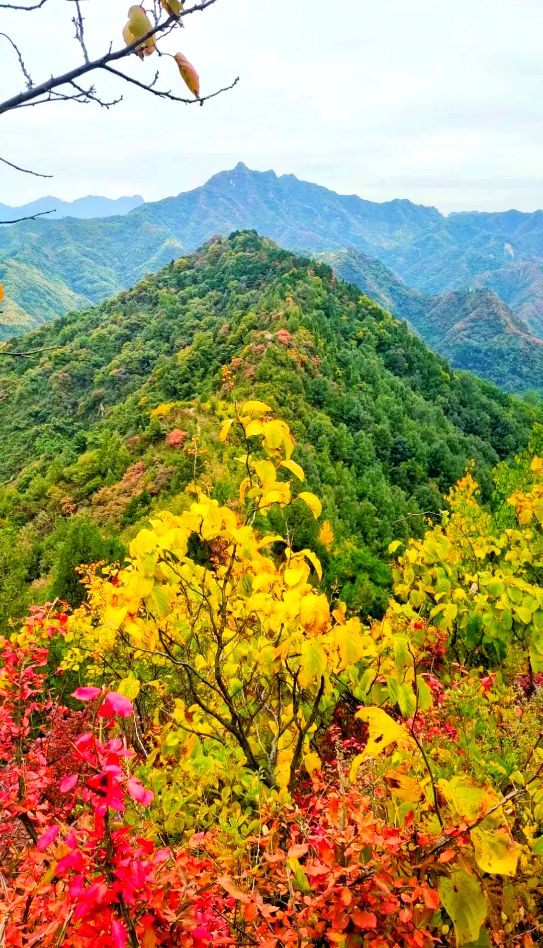 亲子徒步赏秋,探索五道梁的秋日美景