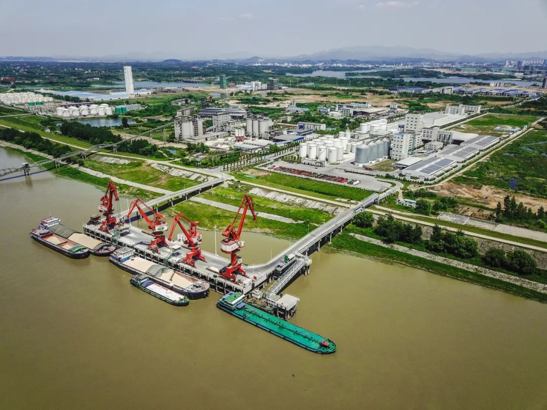 新港区进口粮食再次站上400万吨高位!比去年全年增长12%