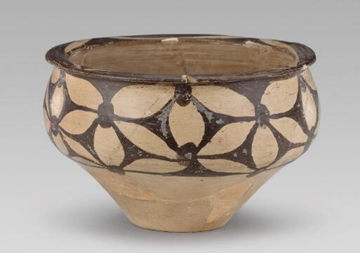 南博讲坛|花开中国,看庙底沟文化绽放"中华文明之花"