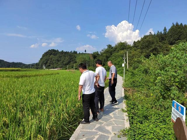 黎平高屯街道"三线作战"战旱情 抢险救灾保民生