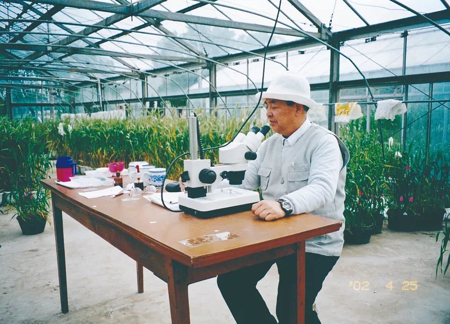 程顺和院士:深耕扬麦谱华章