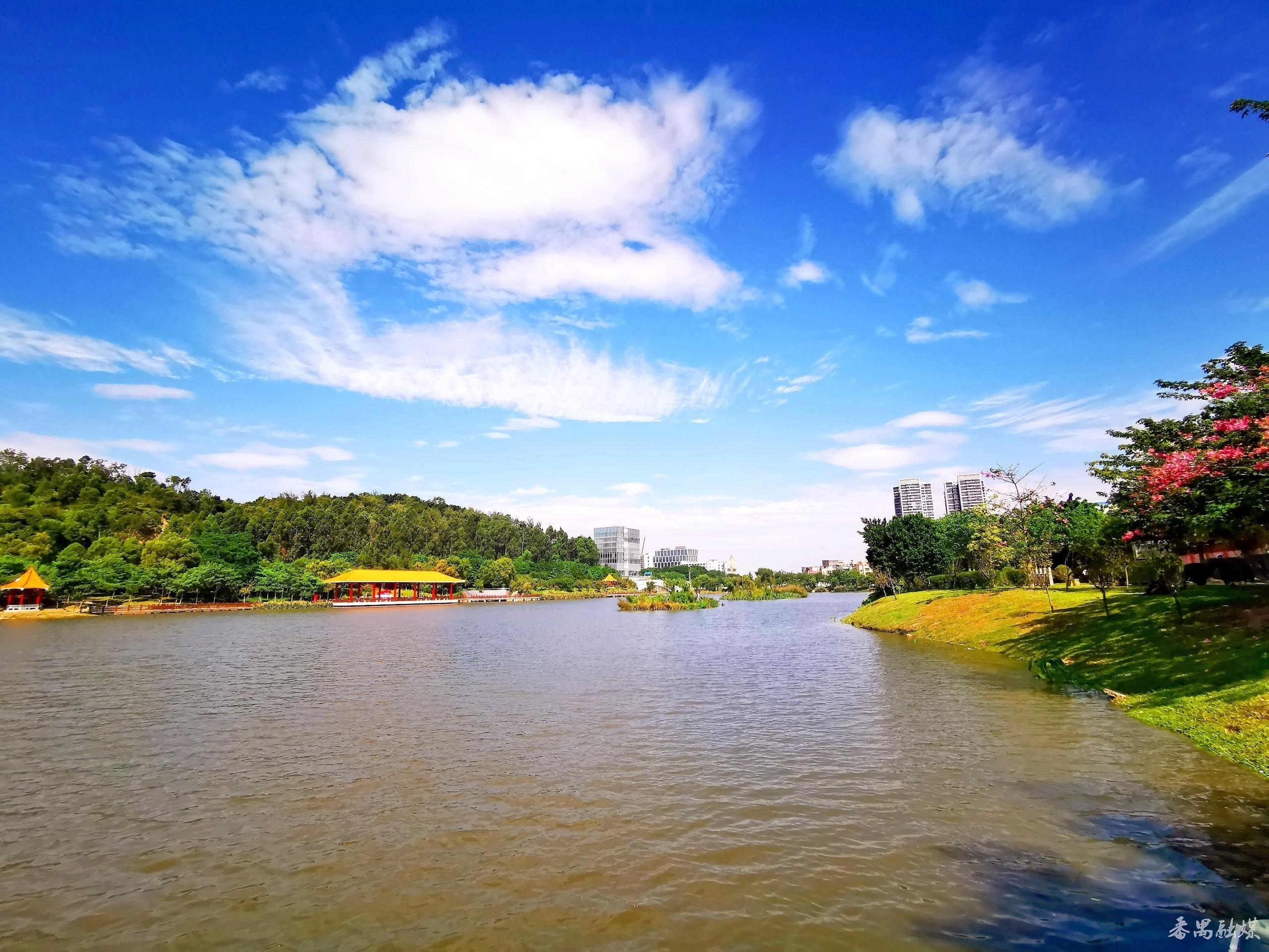 湖光山色 鲜花烂漫 番禺区莲湖生态公园秋意渐浓
