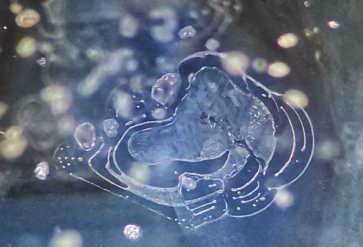 宝石有气泡吗(宝石里有气泡吗) 第2张