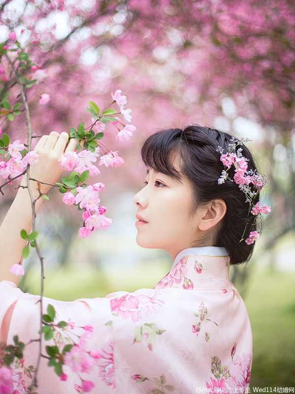 粉色和服美女樱花树下浪漫唯美写真,粉色樱花粉色衣服粉色头饰