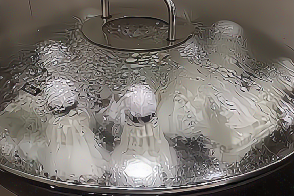 冬天羽毛球怎么蒸