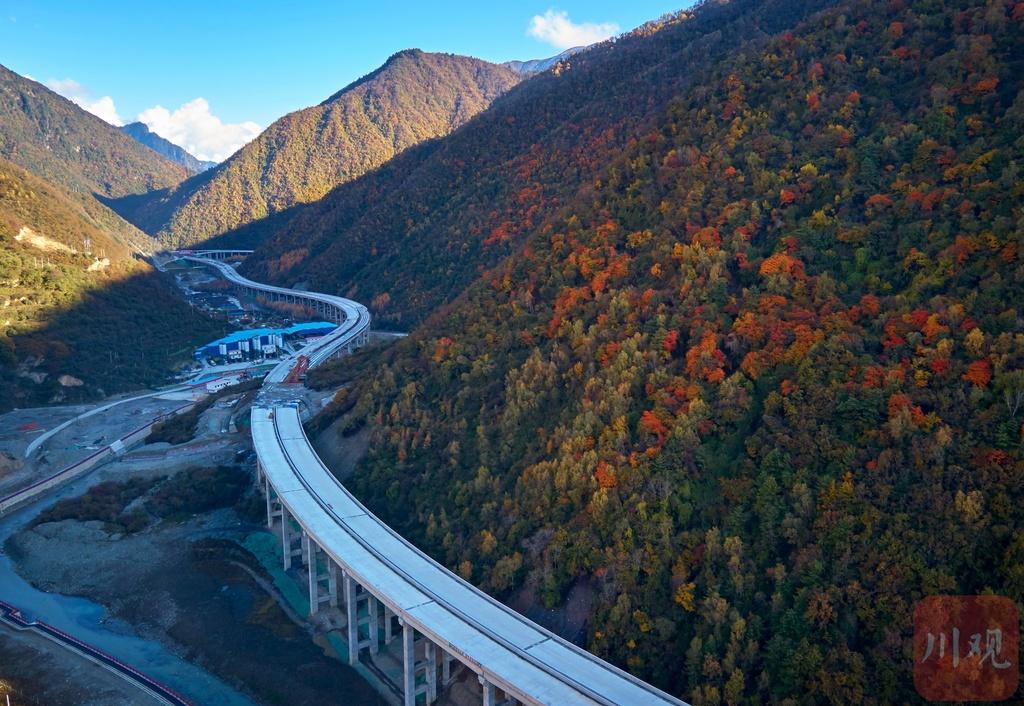 秋色染川 四川平武:穿梭彩林间的九绵高速美如画卷