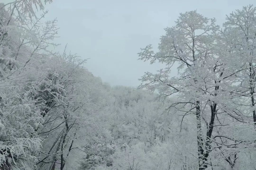 陕西多地下雪了!厚达15厘米!立夏后又穿上秋裤正常吗?专家回应!