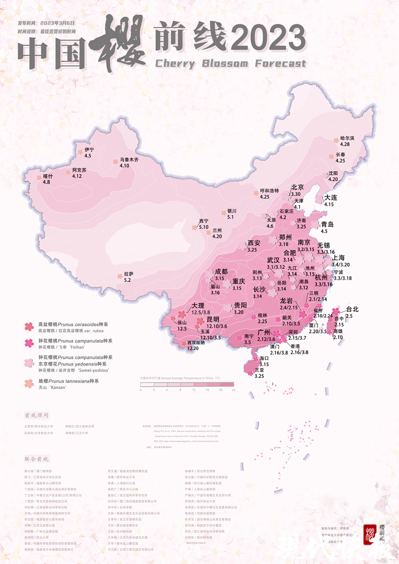 《中國櫻前線2023》報告發布,南京雞鳴寺路預計3月15日迎來賞櫻佳期