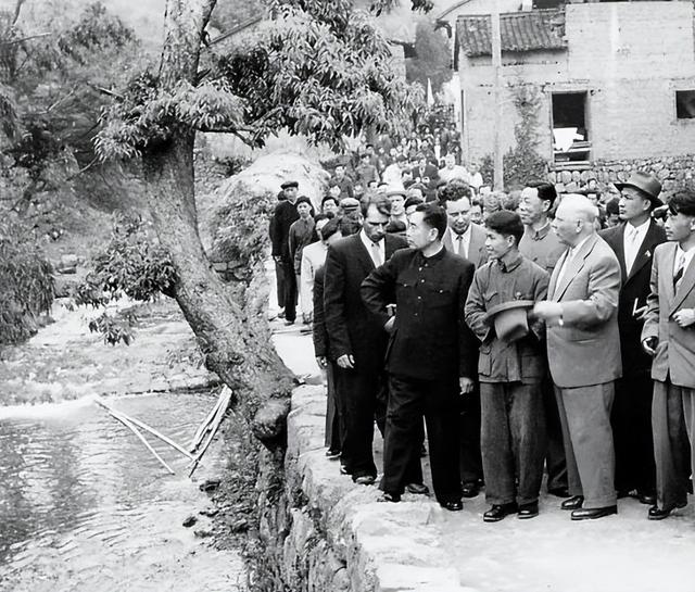 「茗边聚焦卢正浩品牌①」传承的力量