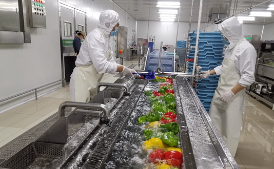 半成品菜竞争大吗?半成品菜行业竞争主要体现在哪些方面?