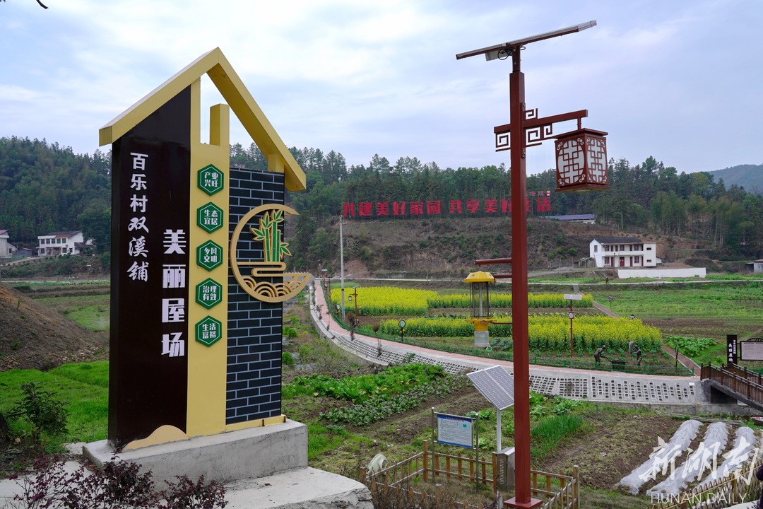 马迹塘镇:竹业小镇节节高