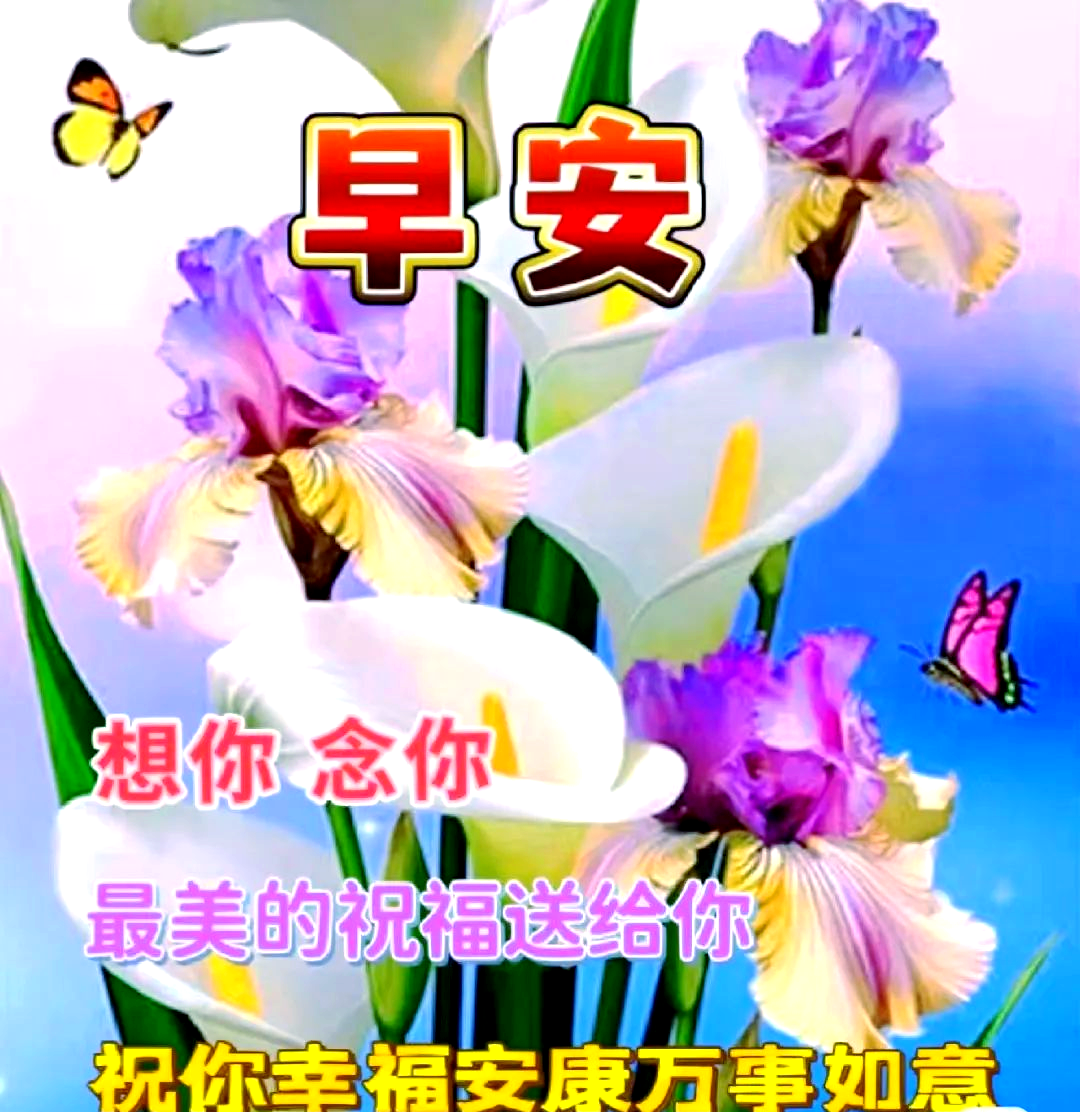 多张温馨的早安动态表情图片,传递快乐与祝福的早上好动画表情