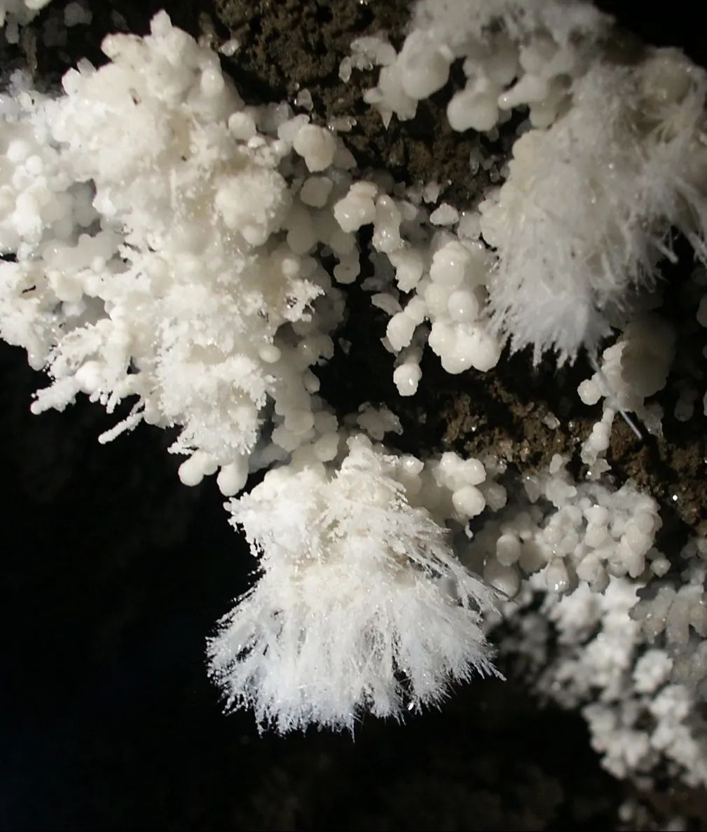 伴随极高热度的明星演唱会,儋州从激发消费活力,优化消费环境,丰富