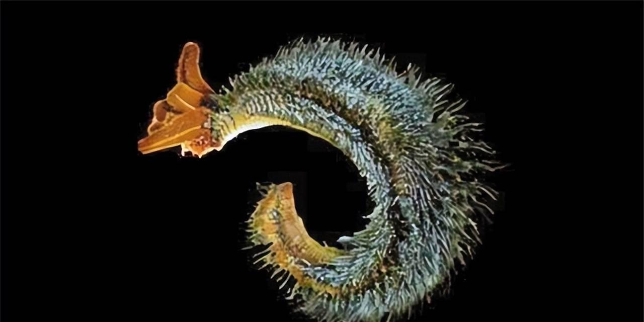 绝世奇观:庞贝蠕虫火山游泳池全揭秘