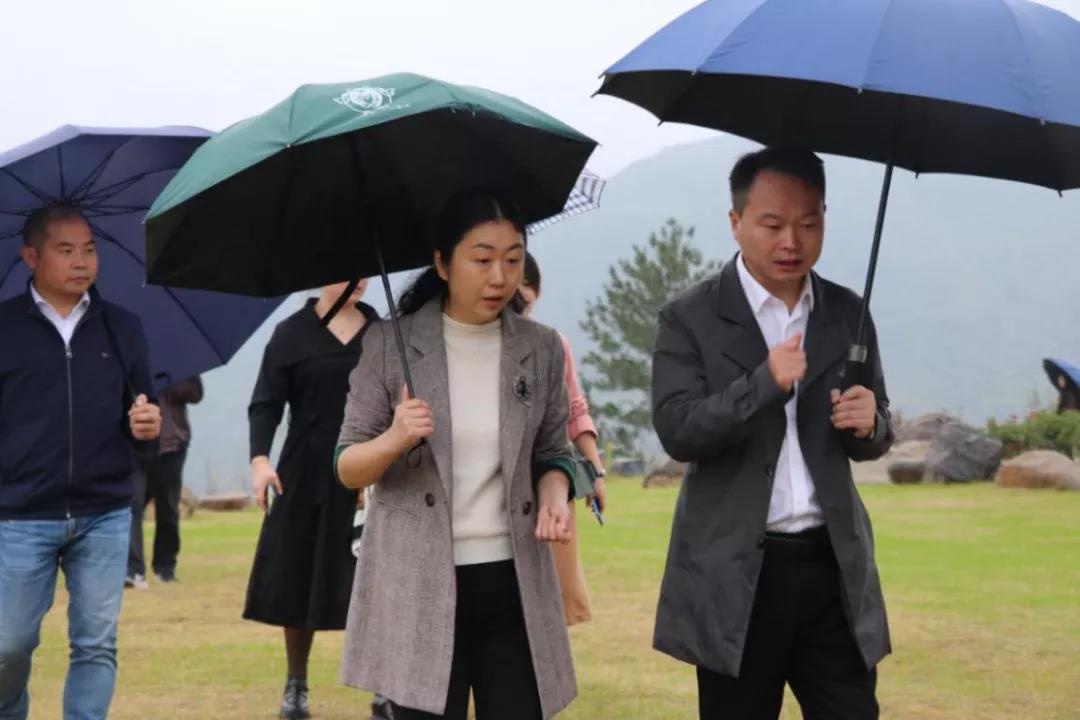 泰顺县委常委,组织部长周碧素率队赴仕阳镇调研矿坑冰城项目