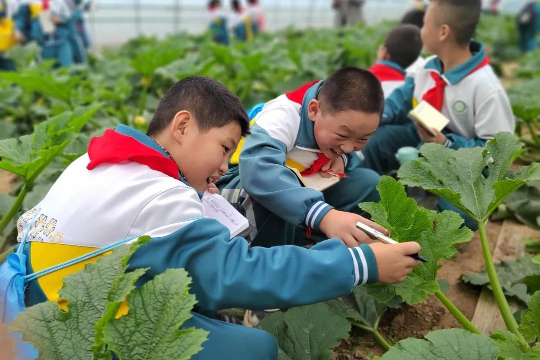 临洮县多途径提升中小学生劳动教育实效