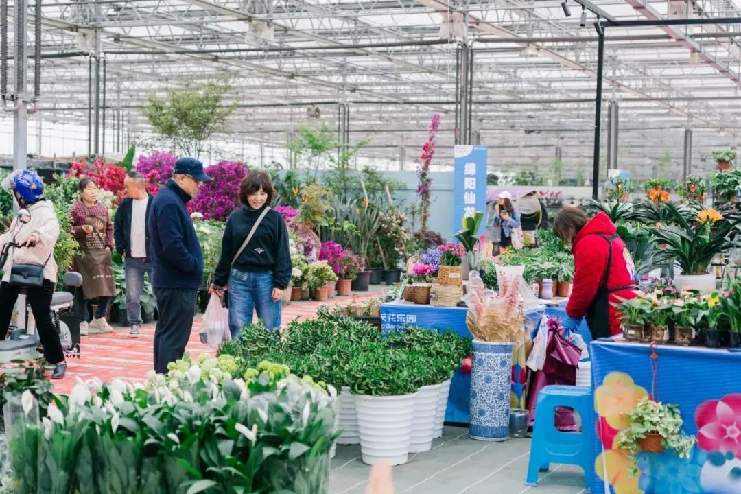 共赴成都世园会郫都分会场花卉之约