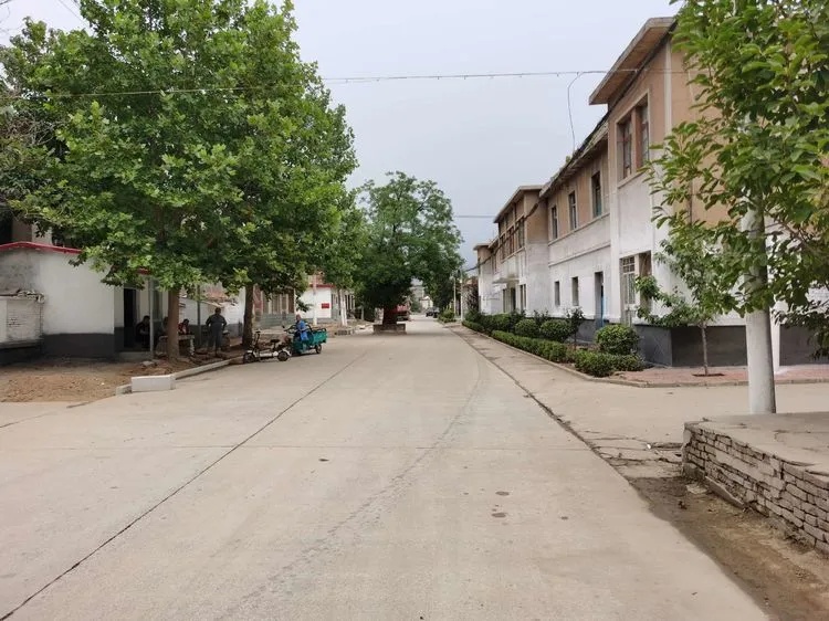 长清区农村人居环境整治及农业统计调查工作现场会在文昌街道召开