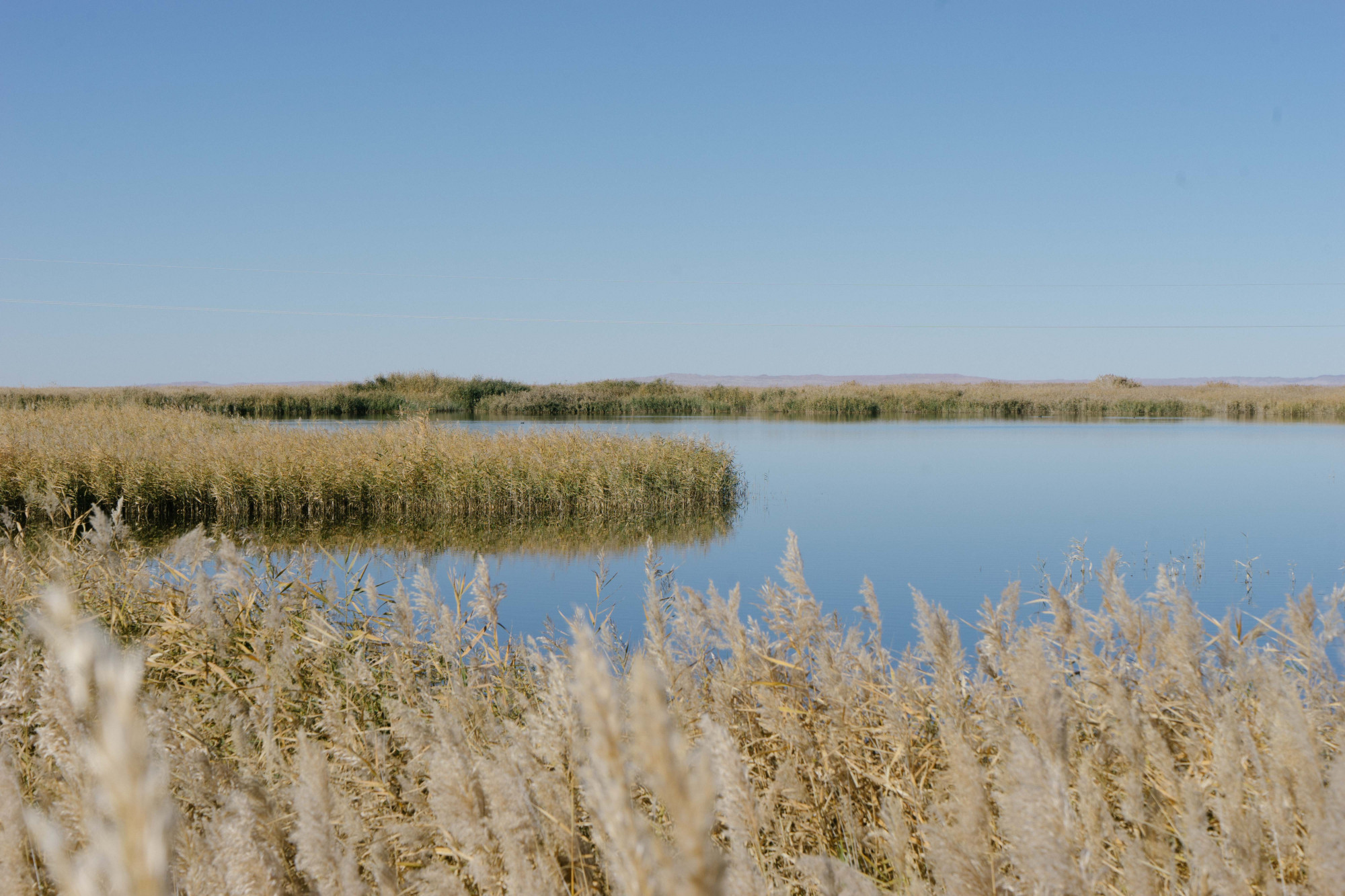 武威沙漠公园,大漠上的网红打卡点,景色太美了