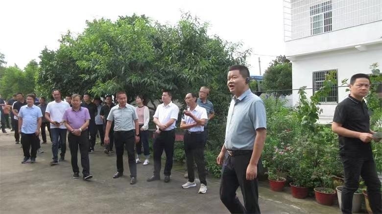 南县华阁镇开展"每日美化"行动整治人居环境取得成效