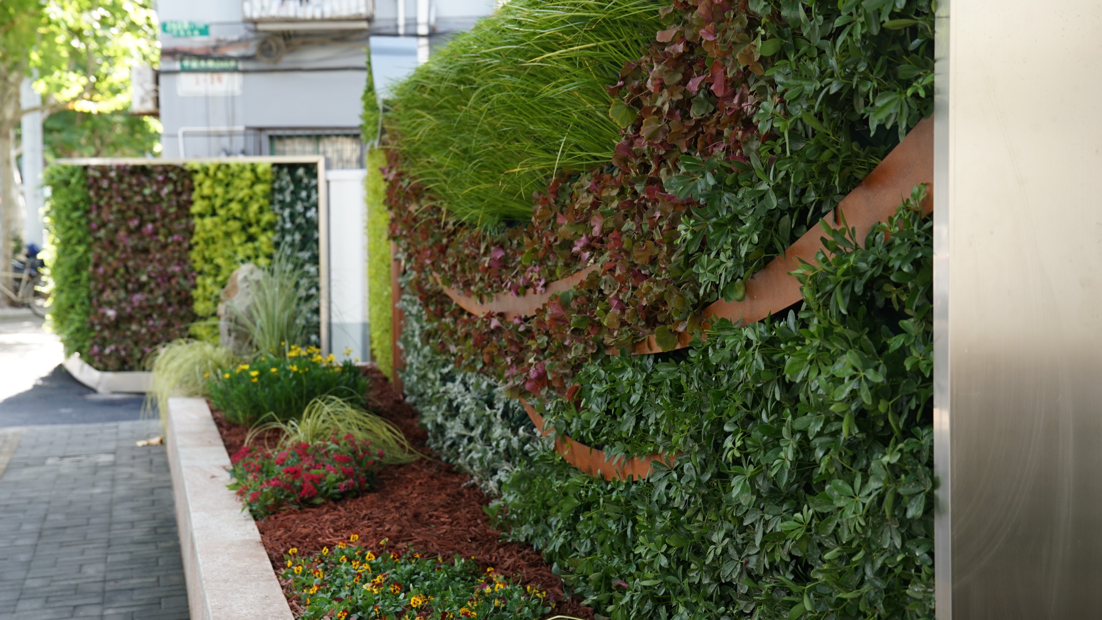 推进城市微更新,平型关路增添立体绿化新景观