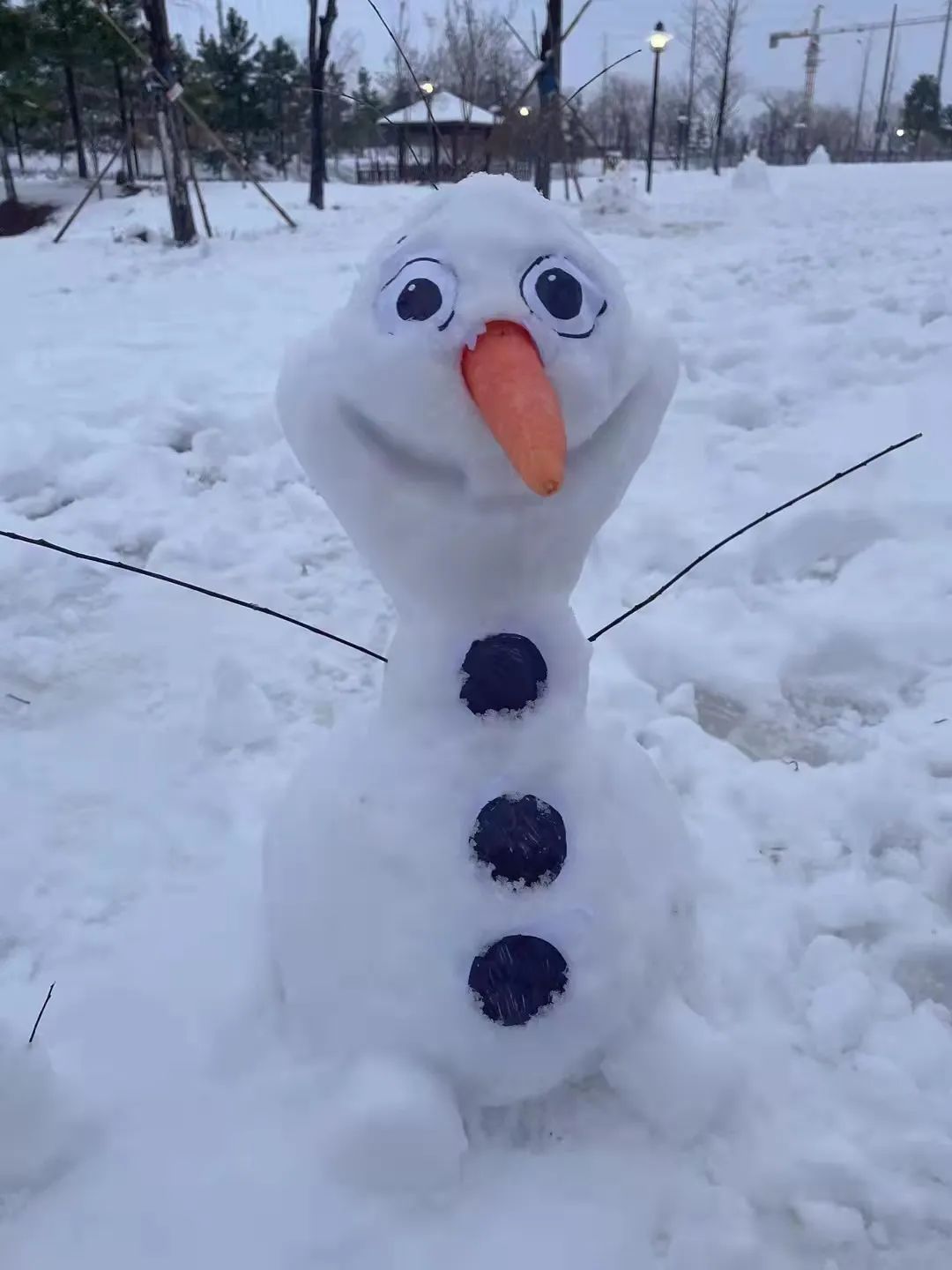 动物堆雪人的图片大全图片