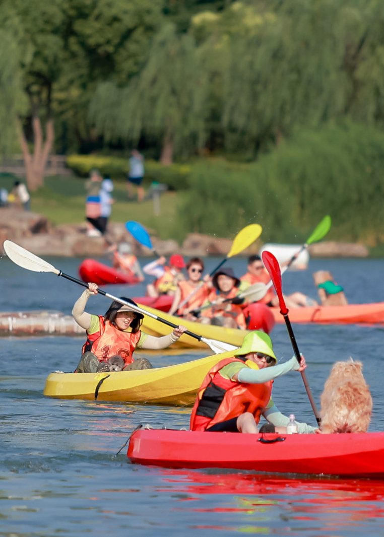 ip shanghai表情|"多巴胺"的夏天
