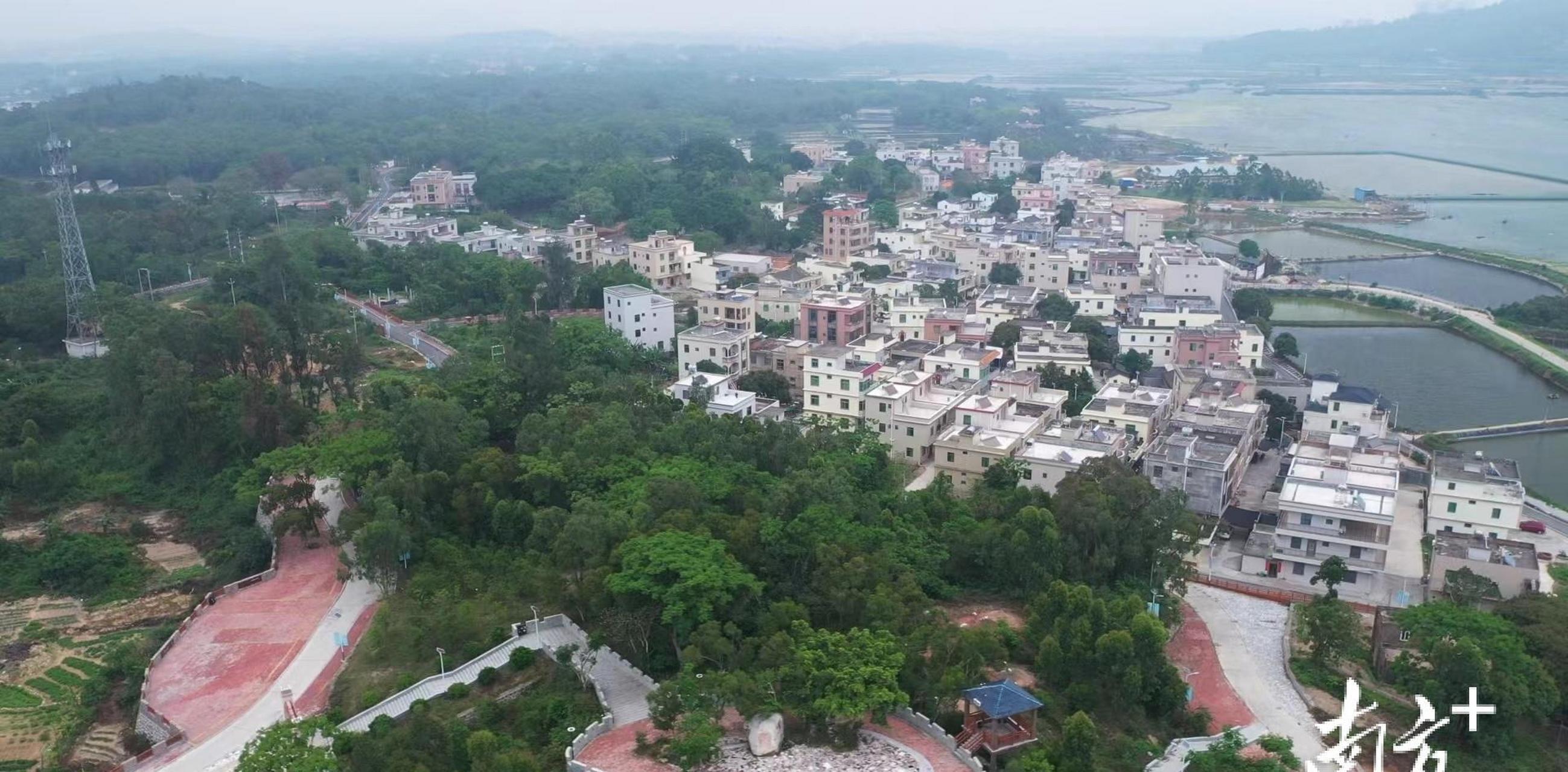 渡头村位于阳西县沙扒镇,依托"沙扒特支"红色资源,该村积极打造红色