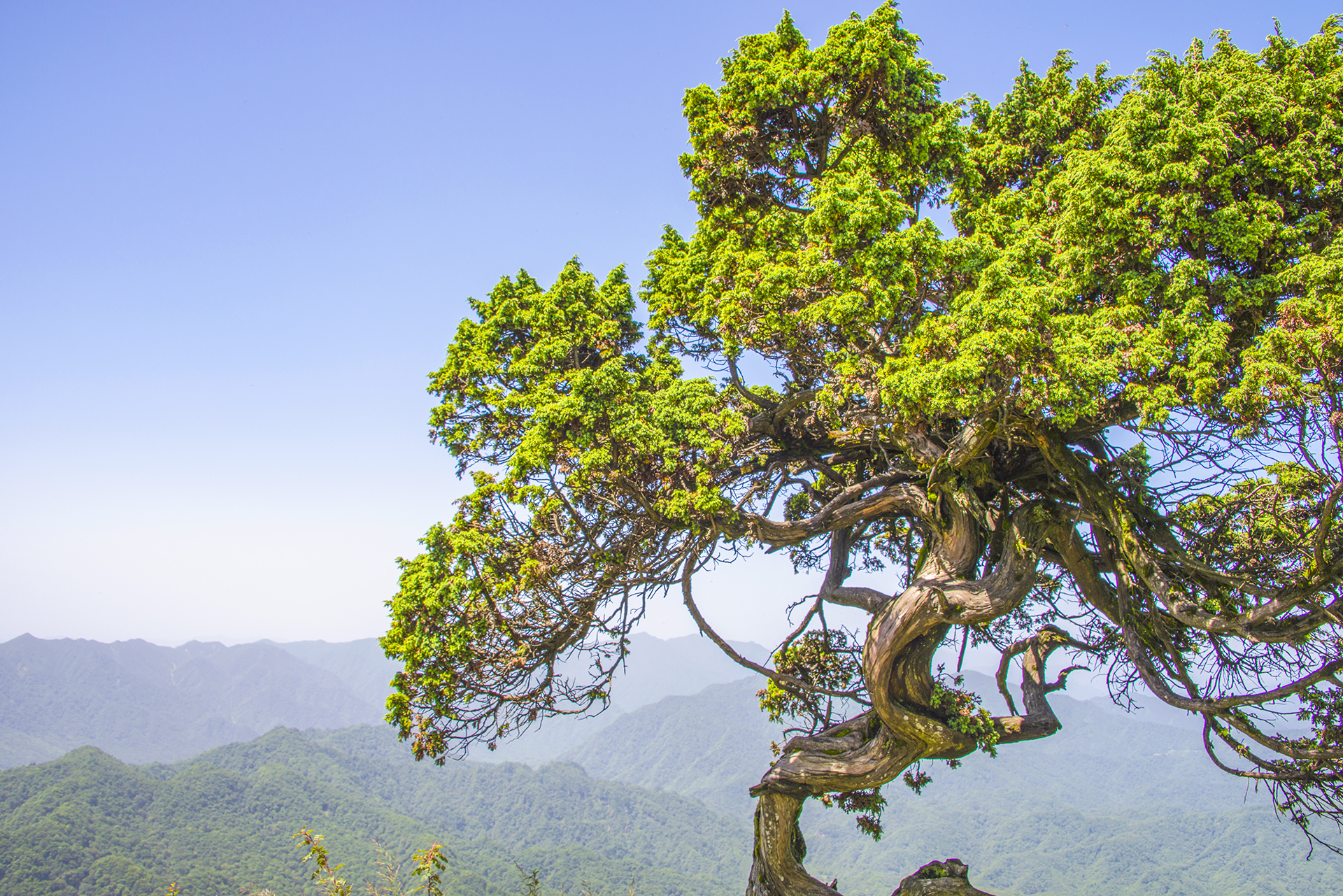 四川南江光雾山,壮美的山水画卷,惬意的避暑胜地