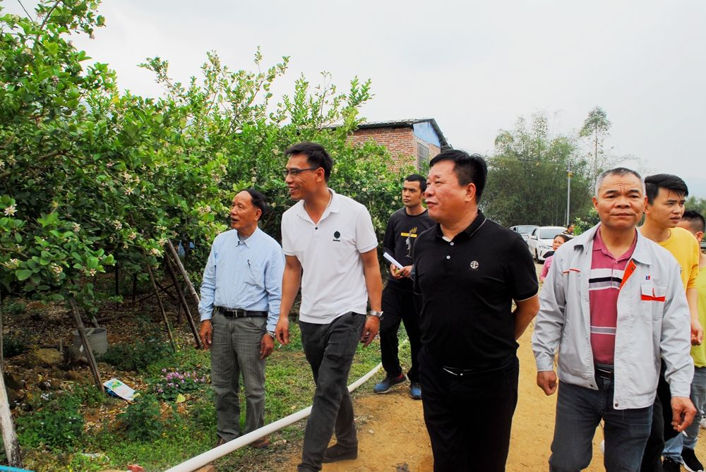 怀集县和蓝钟镇关工委举办香水柠檬种植培训班