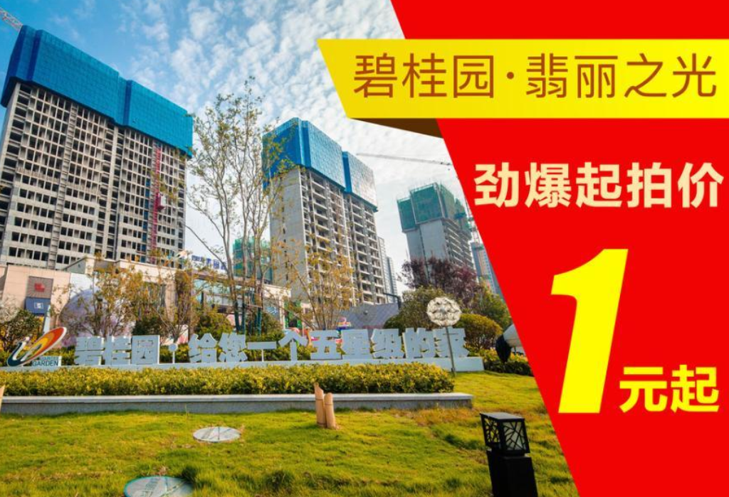 1块钱起拍?临沂市碧桂园翡丽之光的沿街这么便宜?