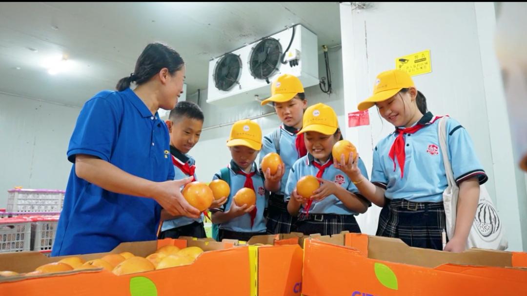 2023年彭城"双减"优秀案例展77︱徐州市祥和小学:联动三方场域 赋能